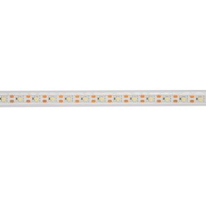 ESP MAIN BOW INC LIGHTS
